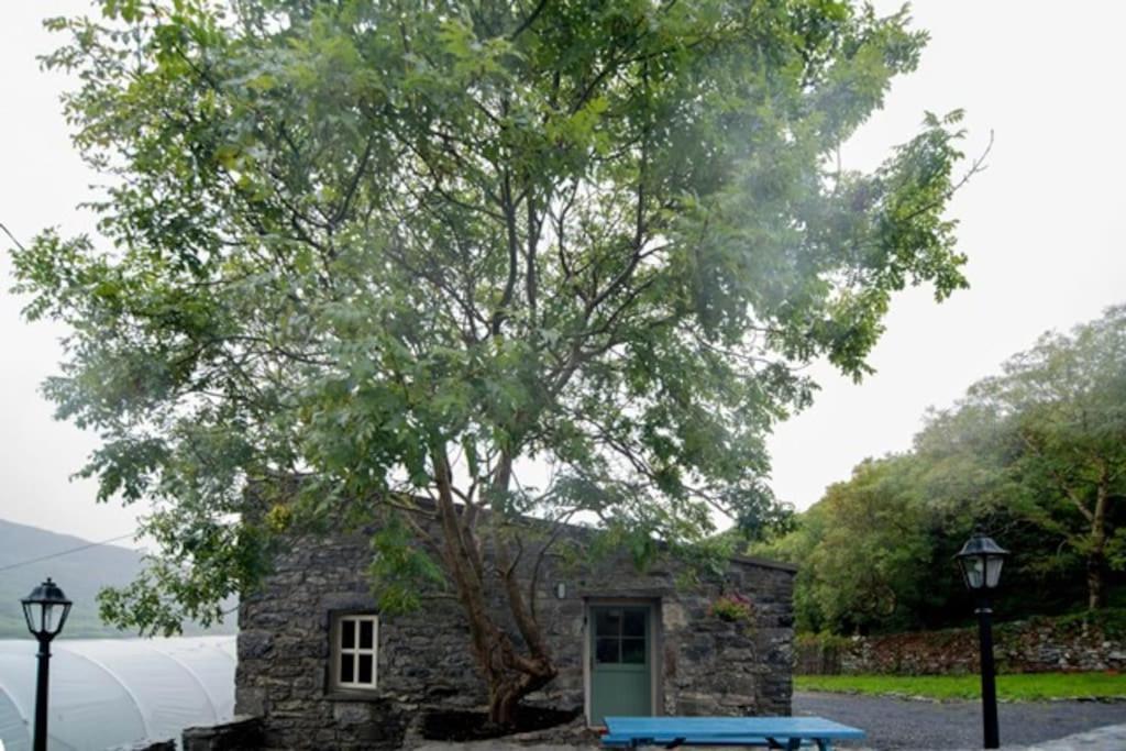 Fermoyle Properties Glynn'S Cottage Fanore Luaran gambar